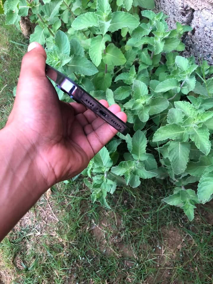 سلام عليكم
ايفون 14 برو ماكس 

جهاز نضافه فول 

مستبدل شاشه
  
وبطاريه🔋 

وبي رساله مال كامرات 
كمراته طبع وشغاله 

الجهاز كله شغال 

ذاكره 256 

دبل سيم 

جهاز يخبل

رقمي للنتصال *********** سعر 550 بي مجال والي يجي ويكسر بل جهاز يسمع كلام مو حلو
