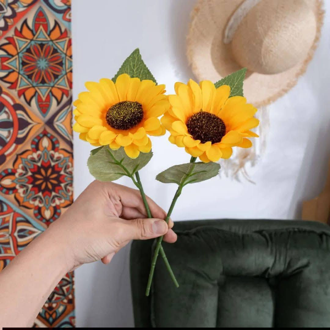 ادوات منزليه


**إذا كنت صاحب هذا الإعلان وتريد حذفه لأي سبب، رجاءا أرسل رسالة إلى الدعم الفني**