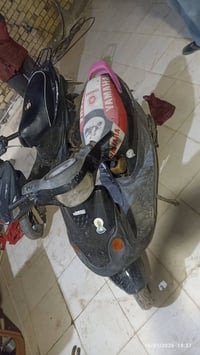 بيجي • شغاله • كوت الجديده