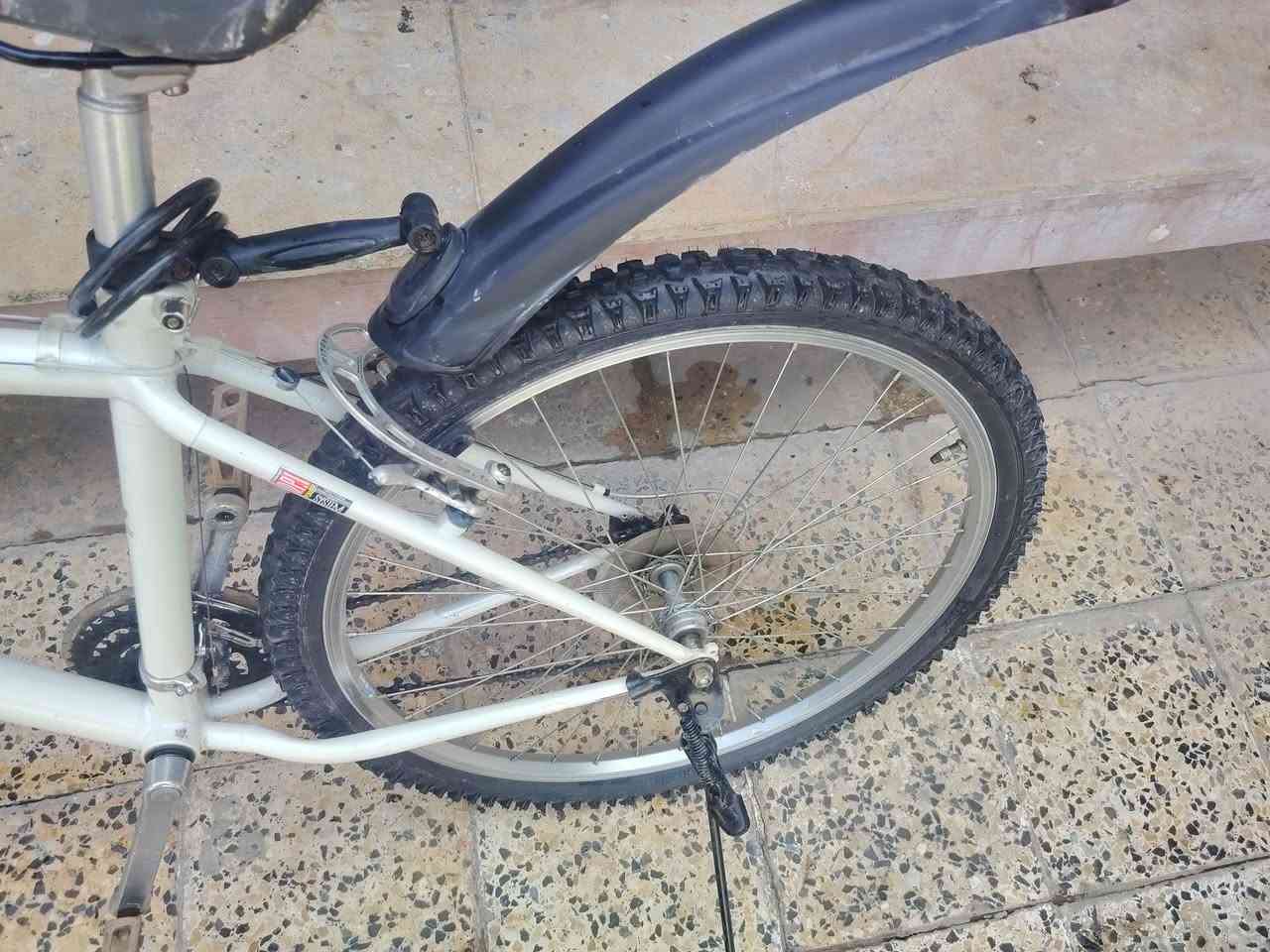 بايسكل باله غني عن التعريف جبلي أمريكي قفلو من الاخير 135 تواصل خاص مفتوح


**إذا كنت صاحب هذا الإعلان وتريد حذفه لأي سبب، رجاءا أرسل رسالة إلى الدعم الفني**