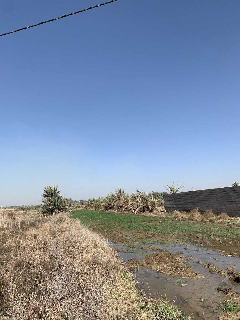 سلام عليكم كاع للبيع (3)دوانم ونص
طابو زراعي سند 25–
كهرباء طوارئ—ماء 💧 متوفر
عنوان الخيرات منطقت الفياده 
الاستفسار…***********
