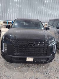 بلسايد فول لمتد • ٢٠٢٤ • بابل شوملي