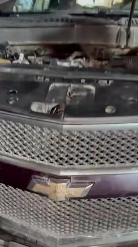 السلام عليكم اخوتي الطيبين شرفنا الأخ ابو علي من محافظة بغداد جاب السياره بكرين السياره بيها سنتر ومعوجه ولفات كملتها وهاي النتيجه كدامكم يتوفر جميع قطع غيار ترافس جمسي اكاديا #شوفر_اكاديا_ترافلس_ترفس_ترافس_كمارو_كامارو
#فيتر_امريكي_محركات_مكاين_تجفيت_وارد_ضمان
#امريكي
#تجفيت_بغداد_المشتل اخوكم علي الفيتر ***********
