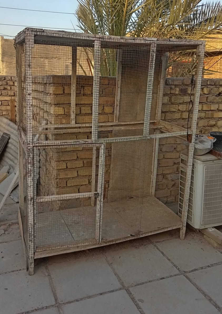 متااح قفص خشب جبير متروك يحتاج شويه ترتيب
ناصريه مركز


**إذا كنت صاحب هذا الإعلان وتريد حذفه لأي سبب، رجاءا أرسل رسالة إلى الدعم الفني**