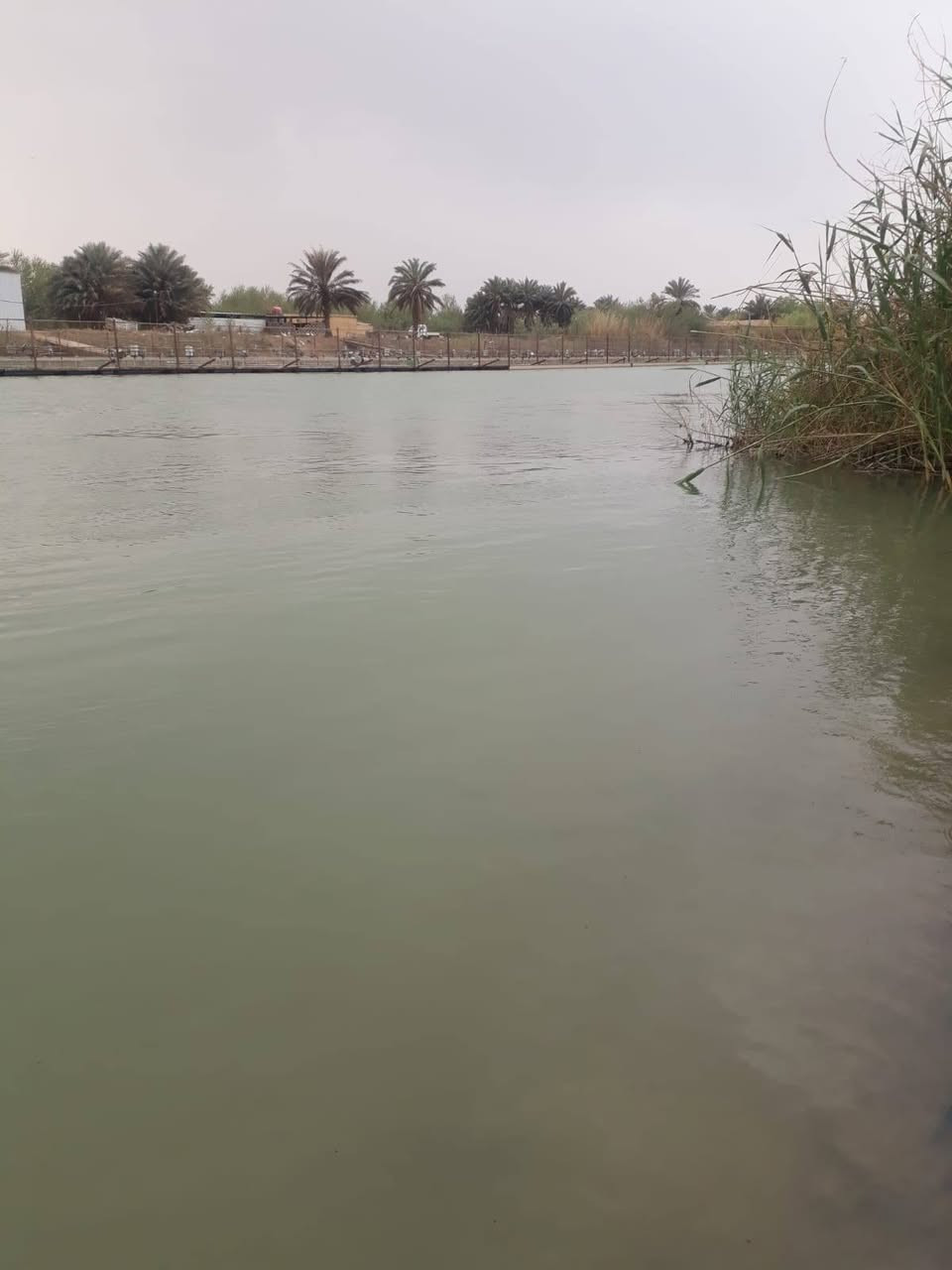 #للبيع
ارض زراعيه شاطيه ٢٢دونم مع دور سكنيه عدد ثنين عقد ١١٧ مع بستان عشره دونم عدد النخيل 100نخله متنوعه مثمره البستان مجاز رسمي وجه شارع وشط نهر دجله مركز محافظة واسط مع توفر كافة الخدمات 
للتواصل مع صاحب الارض👇 👇 
***********
