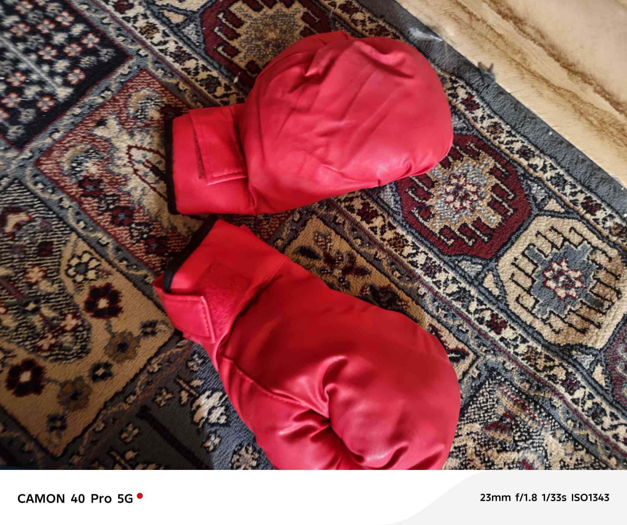 بيه خط بنص مابين مال كامرات لبيع 25
مرايات دراجه لبيع ب7
حماله طفل ب7
جفوف ملاكمه ب8
فانوس شارع واحد ب8
واير كهرباء 14 متر سعر ٦الف
هتفون كبر مال تمرين ب5 زاد جيس ملاكمه جديد ب15
ربود جديد ماخذه ب٤٠ اريده ب25
نركيله كامله ب10
حنفيات 4 بالفين
سياره بلاتوث ب٨
نقطه كهرباء ب2
خوضه دراجه ب8
٢كرتونين صابون ريحته طيبه كرتونه واحده بيه 72 صابونه لبيع ***********
