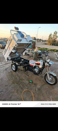 ستوته ام الطير • موديل 25 • رقم وسنوية