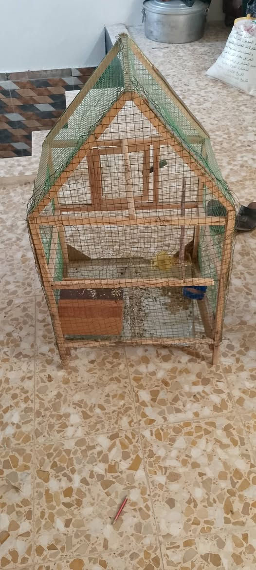 السلام عليكم قفص للبيع السعر كامل 5 تالف المكان موصل الايسر قرب سوق الجمعه


**إذا كنت صاحب هذا الإعلان وتريد حذفه لأي سبب، رجاءا أرسل رسالة إلى الدعم الفني**