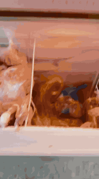 شعب • مجمدة وسط • تجميد قوي