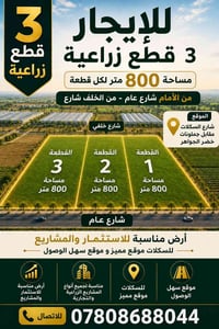٣ قطع • ٨٠٠م • شارع السكلات