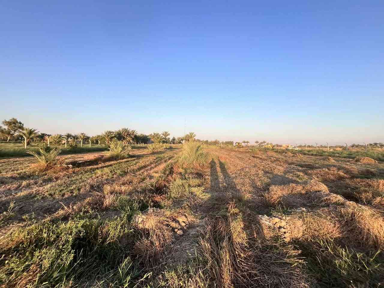 سلام عليكم موجود تبن برسيم للبيع مع شواريغ حشيش 5بشاير  للتواصل ‏‪***********‬‏
