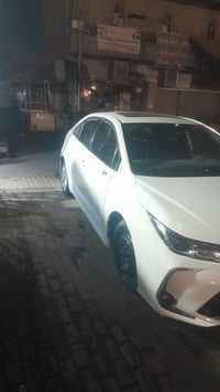 كورلا هايبرد • ٢٠٢٥ • شارع فلسطين