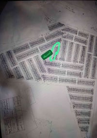 الزهور • ٢٠٠م • سند طابو