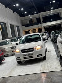 افيو • 2008 • أربيل