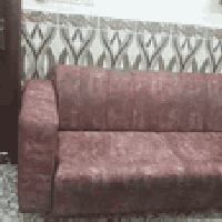 تخم للبيع 07717203200