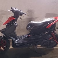 سكنس • فحل • ياباني