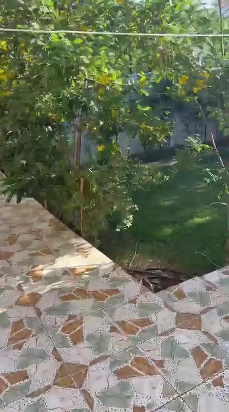 للبيع بيت مساحه100م
10×10 طابق واحدموقع ممتاز قرب شارع30ومدرسه العداله مع تشجيرحديقه 100م
للأستفسار
***********
***********
