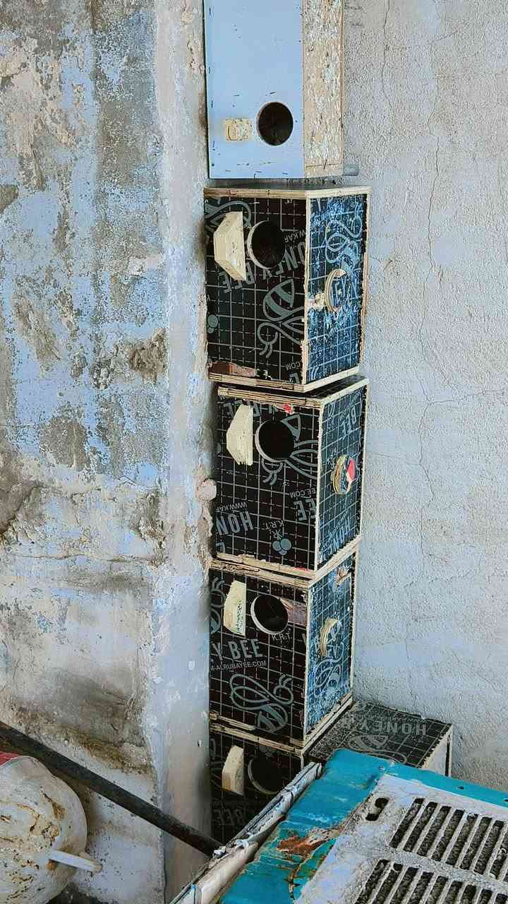 ‏السلام عليكم قفص غندوره او اي شي تخلي بيه الارتفاع متر والواجهيه متر والنزال ٨٠ الارضيه معاكس نظيف جدا سيم بي ار سي استعمال اقل الشهر مع بيوت غندوره عدد ٦ اقل الاسبوع شديتهن وفتحتهن مكاني حله مركز


**إذا كنت صاحب هذا الإعلان وتريد حذفه لأي سبب، رجاءا أرسل رسالة إلى الدعم الفني**
