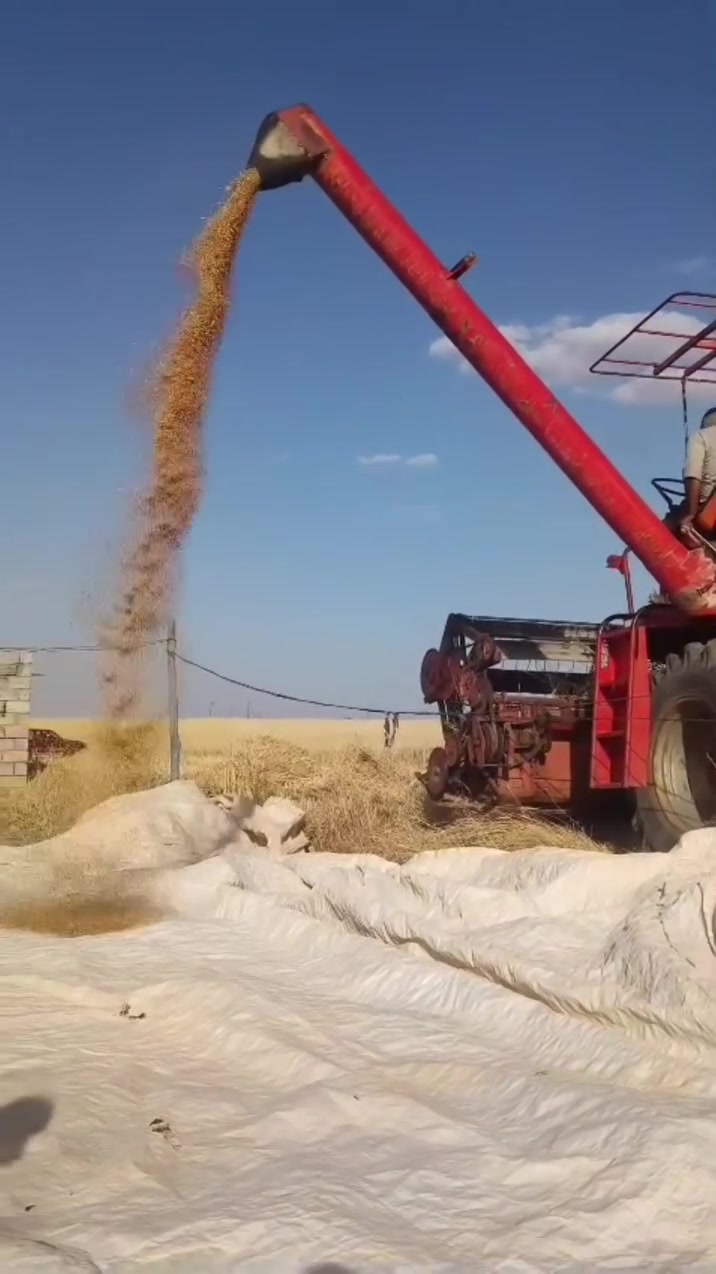 السلام عليكم حاصوده للبيع موديل 90
محرك وگير واكسن شرط 
جاهزه للعمل بيع مستعجل 
وشرط التحويل رقم وسنويه 
السعر 8مليون وبيه مجال المو شراي لا يتصل 
صلاح الدين قضاء الشرقاط 
***********
واتساب ***********
#اعادة النشر بسبب الوعده الكاذبه
