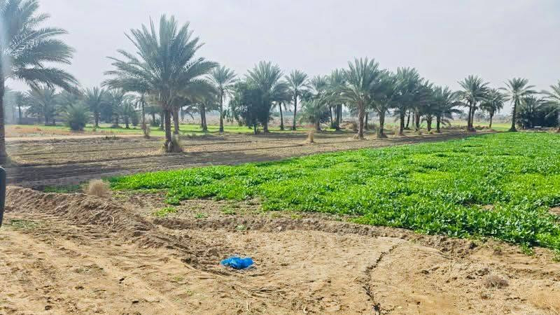 السلام عليكم شكد تريد موجود اليعجبك متوفر المساحات مخلتفه
طابو زراعي 25 تحويل مباشر بسم المشتري ما عليها كل مشاكل شغلنه أمن وأمان وضمان مساحات حلوه تريد سكن تريد مزرعه تريد استثمار من الدونم للستين دونم للاستفسار مراسلة الصفحة أو اتصال *********** 
@إشارة @#الجميع
