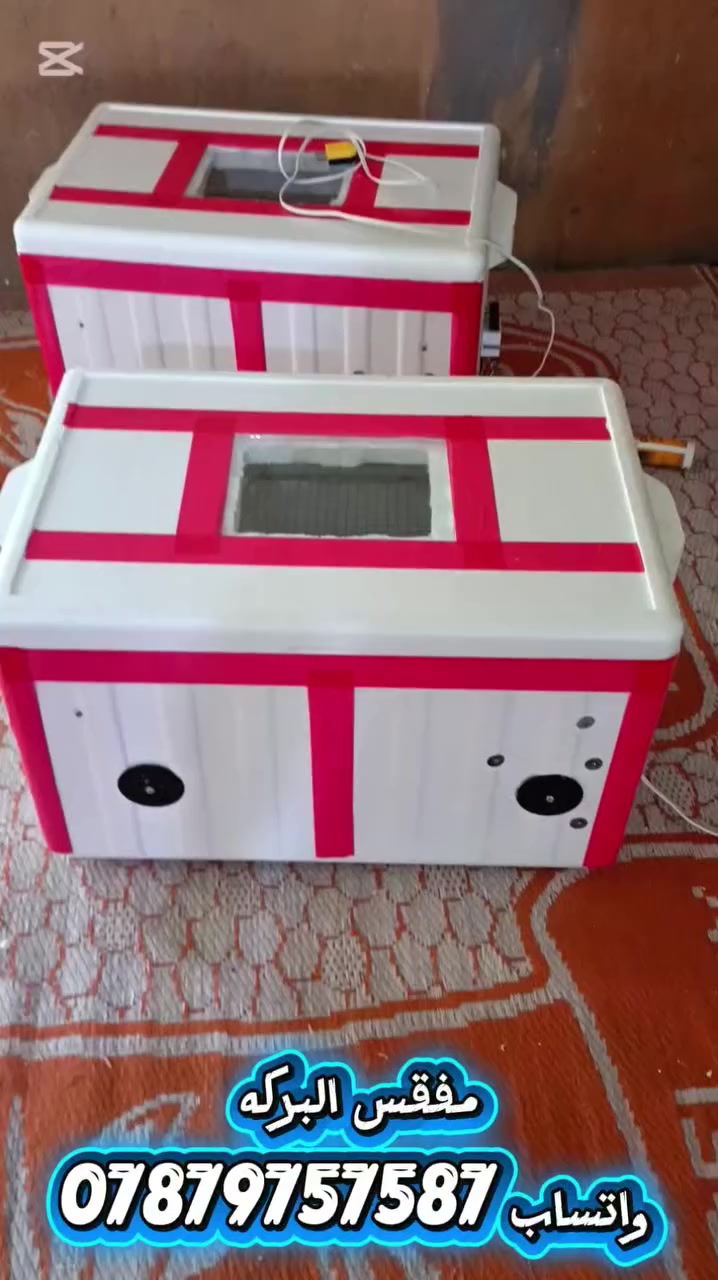 اسلام عليكم متاح فقاسه تقليب يدوي  نسبه التفقيس95 بلميه شرط ماتفقس ترجع
تجربه الاخوه 

لتواصل خاص او على الواتساب ***********
