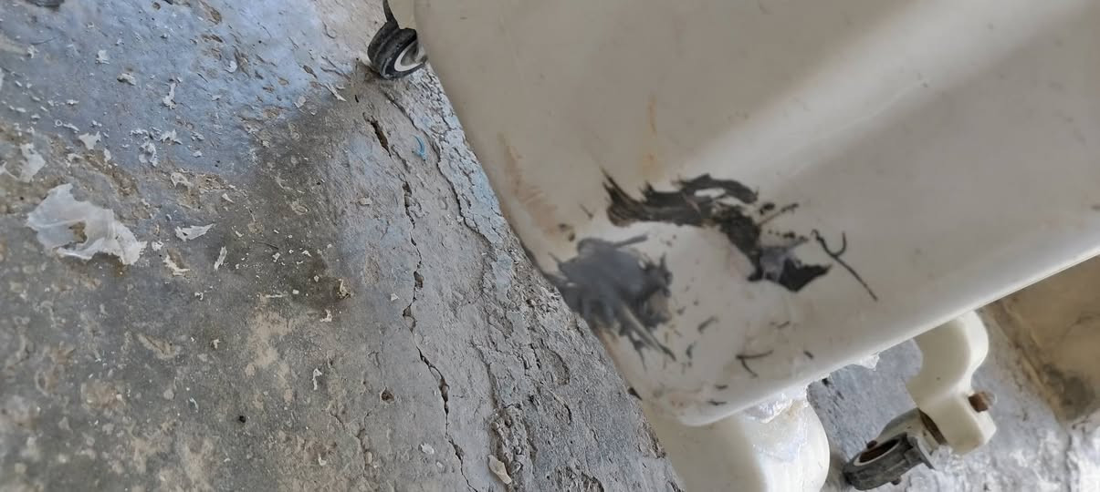 كونفيره  شرط اهو ثلج نوعيه اصلي بيه فطر خفيف ومسوينه كلشي ما بيه سعر 85 قفله عنوان بيجي حي تاميم تواصل *********** رجاء فقط شراي يتصل
