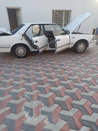 هارتوب • نضيفه • ١٩٩١