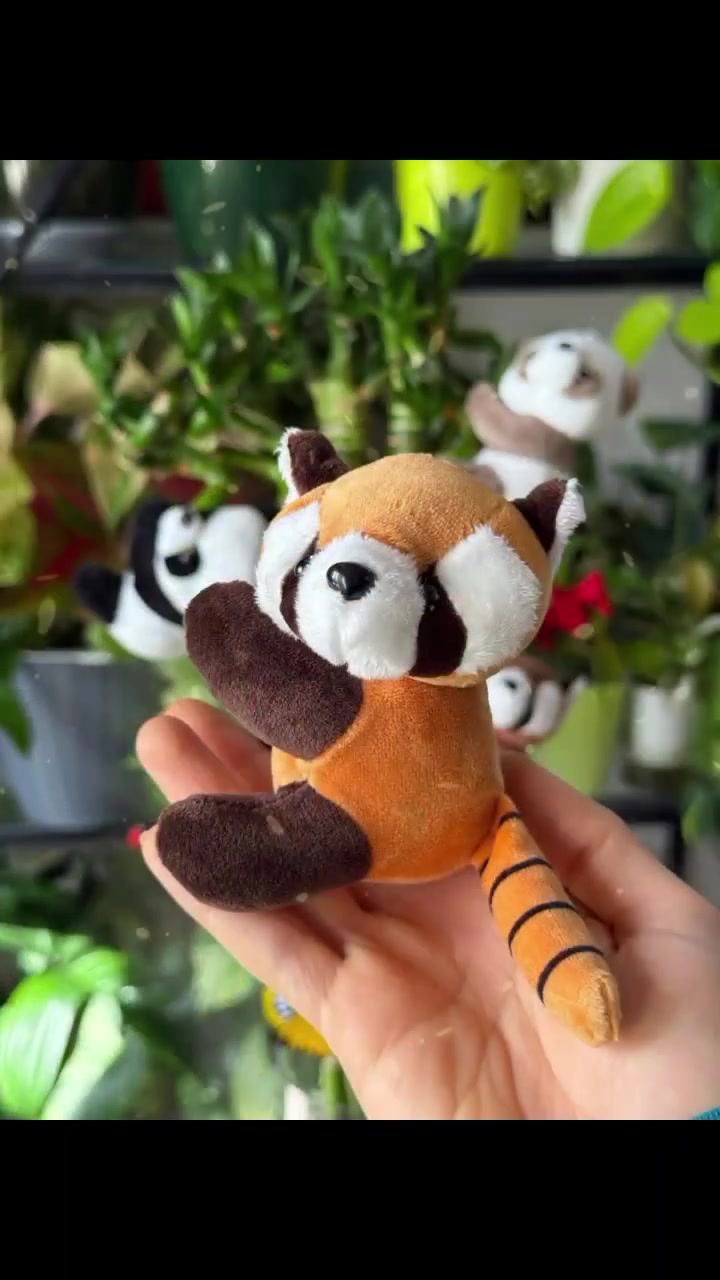 🌿🐼🦊💚
مين يقدر يقاوم هالجمال؟ 😍
اكسسوارات نباتات الباندا والراكون اللطيفة 🐼
تحسهم متسلقين الشجر فعلاً 😂💚

ديكور يفتح النفس، يضيف طاقة حلوة وابتسامة بكل زاوية 🌞🌱
مناسب للبيت، المكتب، وحتى كهدايا 🎁✨

✨ الكمية محدودة لا يفوتك الجمال 😍
📩 احجز الآن قبل ما يخلص 💨
***********📞

#ديكور #بامبو #دمى_باندا #ديكور_منزلي #هدايا #ستايل #جمال_البيت #ديكور_غرف
