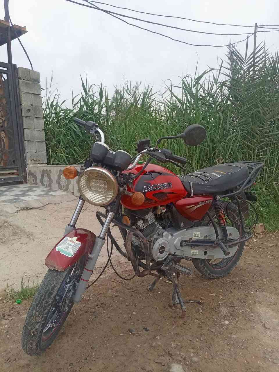 سلام عليكم بوكسر للبيع اوراق اصوليه نواقص بيها تشتغل هندر ابيع دراجه كايمه تره دخن السعر 500 قفل اوراق اصوليهه الاستفسار ***********@الجميع
