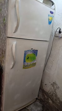 شباب  غراض. البييع  ثلاجه سعره 150 الف نوع تفاحه حجم جبيره  وعندي براد...