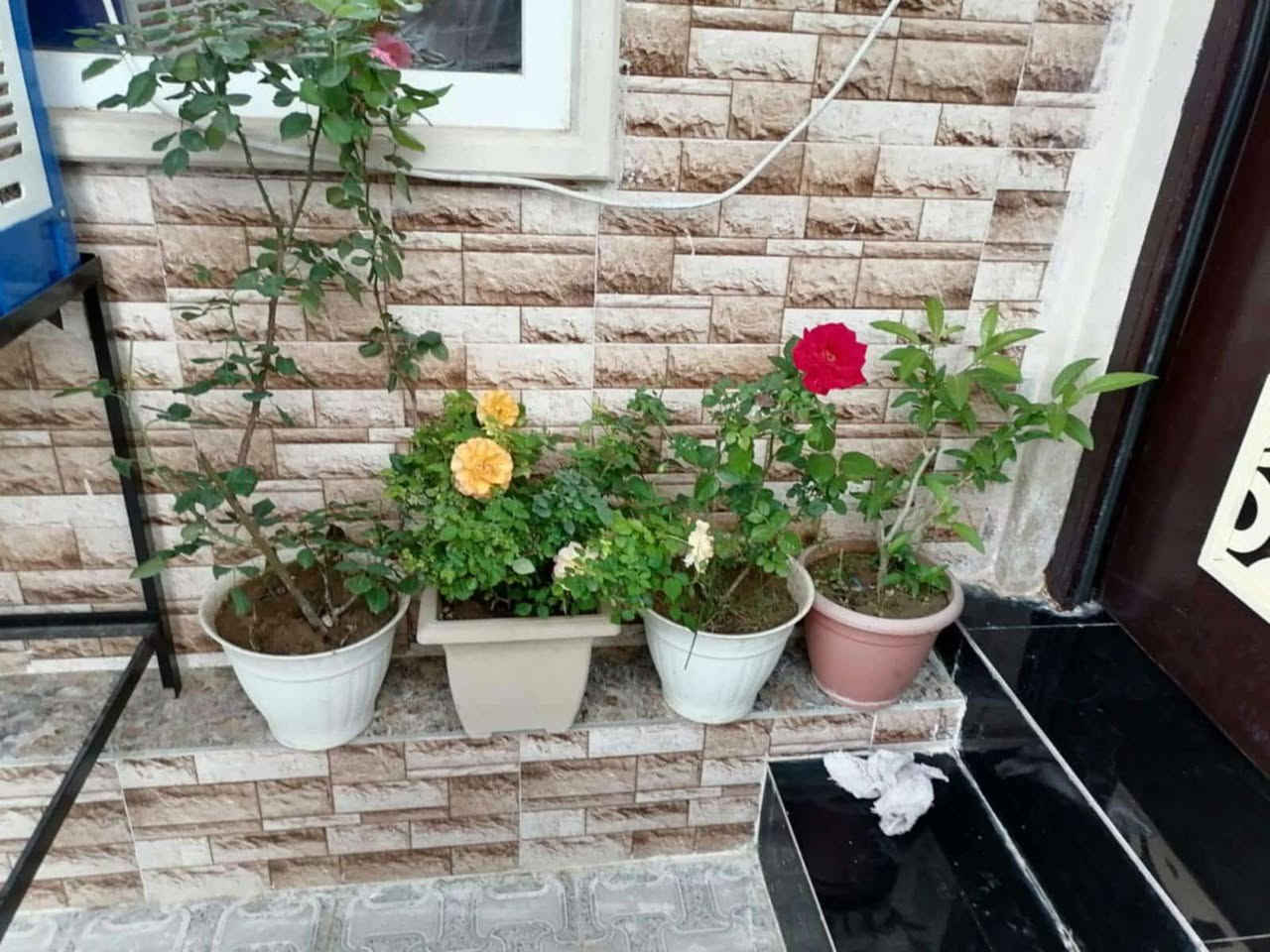 🔥 حصرياً – دار للبيع | بيع مستعجل 🔥
📍 التعليم العالي – مجمع النور السكني | تعاليق ما أرد

🏠 تفاصيل العقار:

المساحة: 120 متر مربع – ركن

الطابقين: يحتوي على 4 غرف نوم

الخدمات: ماء + كهرباء + تبليط كامل

صنف العقار: جمعية النور

الموقع: الأفرع إلى  قبل الدورة  كلها تروح للبيت أو الفرع إلي مقايل الدورة 

✨ موقع مميز جداً ✨

💥 فرصة ما تتعوض… وما تلكّي أحسن! 💥

📞 للاستفسار والمعلومات:

الاتصال أو مراسلة الصفحة

*********** + اتصال + واتساب

*********** + اتصال + واتساب
