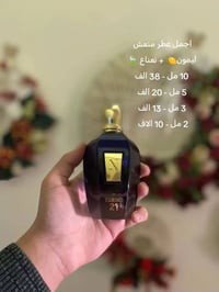 عطر تورينو ٢١ • للتقسيمات • رائحة ورد