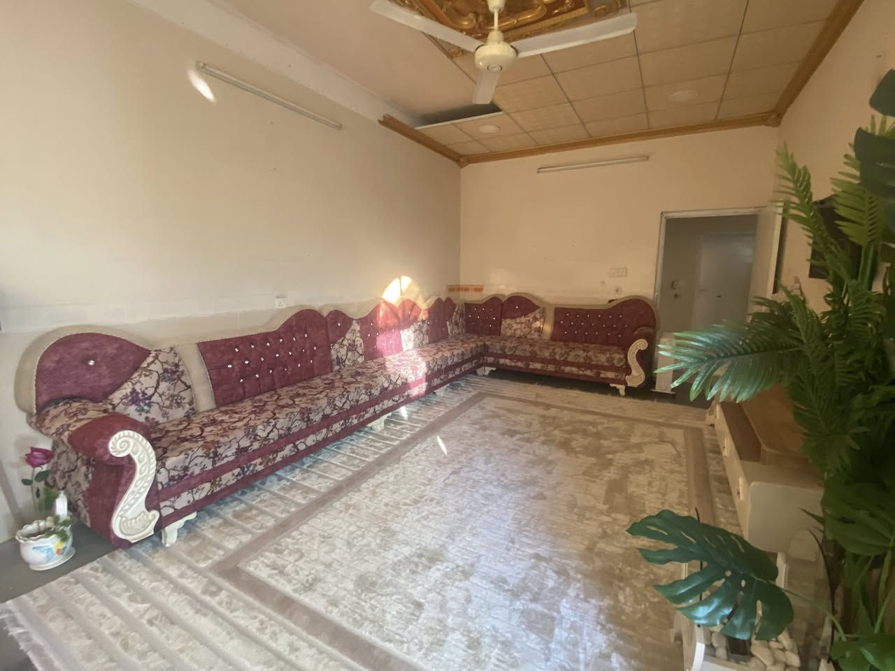 تخم قنفات 7 متر آخو الجديد  السعر 225.  الاتصال ع رقم. ***********
