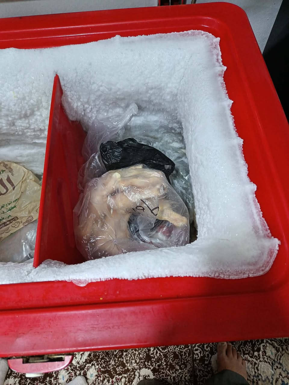 براد للبيع نوعية اريمو حجم 12 نظيف وتجميدو كلش مليح مثل ما موضح بالصور سعرو 250 وبينو مجال


**إذا كنت صاحب هذا الإعلان وتريد حذفه لأي سبب، رجاءا أرسل رسالة إلى الدعم الفني**