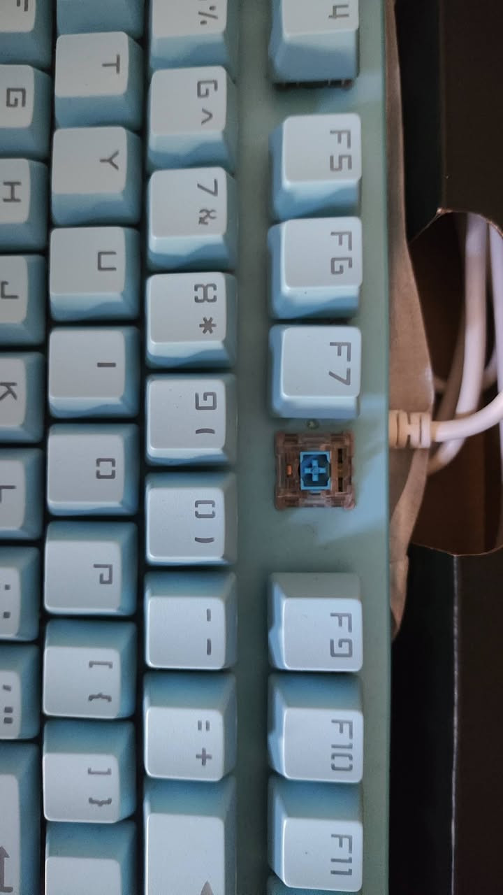 للبيع - كيبورد ميكانيكي Leaven K550 TKL 🎹🔥 
87 زر - RGB - بحالة نظيفة
مواصفاتها:
النوع: ميكانيكي 87 زر TKL يعني بدون الـ Numpad. مساحة اقل للماوس وتفيد للالعاب
السويجات: سويجات ميكانيكية Blue/Red صوتها كلاسيك وطقطقة ممتعة + عمرها 50 مليون ضغطة
الاضاءة: RGB متنوع + اكثر من 20 مود اضاءة تتحكم بيها من الكيبورد نفسه FN + مفتاح
الكيب كاب: Double Shot ما يتمسح الحرف وياها حتى لو تلعب 24 ساعة
الاستجابة: Anti-Ghosting + Full Key Rollover يعني كل الضغطات تنحسب سوا، مهم للفالو والبجي
التوافق: PC - لابتوب - بلايستيشن - اكس بوكس. Plug & Play بدون تعاريف
السعر : 25 
توصيل متوفر لكل محافظات


**إذا كنت صاحب هذا الإعلان وتريد حذفه لأي سبب، رجاءا أرسل رسالة إلى الدعم الفني**