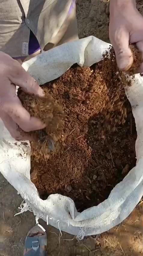 سماد ناعم للزراعه للبيع سعر الجنيه الوحده 2000 ونص واصل للمكان اللي تريده مجاني التوصيل ***********
