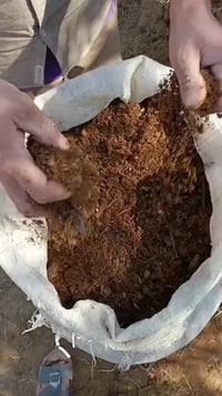 سماد ناعم للزراعه للبيع سعر الجنيه الوحده 2000 ونص واصل للمكان اللي تر...