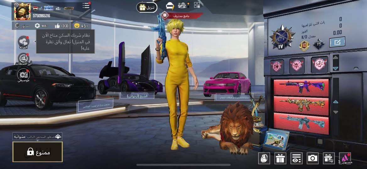 حساب ببجي للبيع بدله اكس كلمسج خوذه جحيم اسلحه صندوك 4 لفل مجموع بعدله ربع يطب 76 بيع سريع ومستعجل وكسر 650 الف عنواني بغداد بسمايه رقمي ***********
