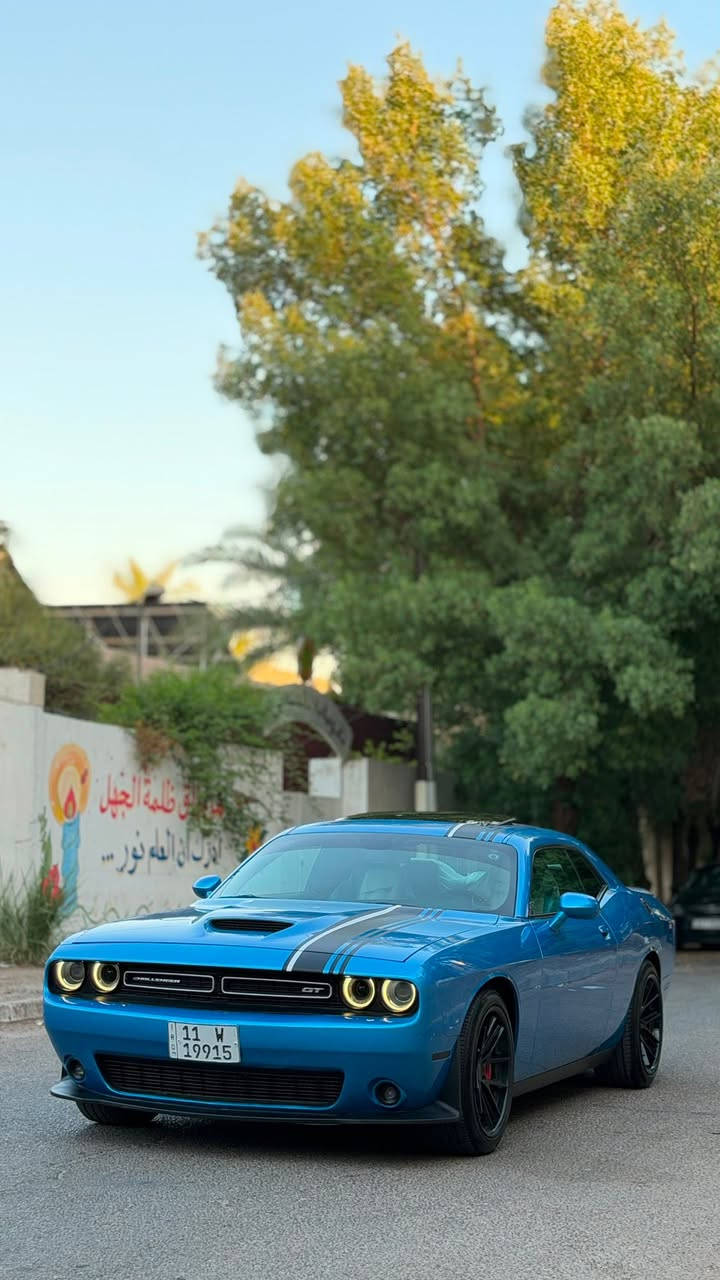 السلام عليكم 
جالنجر 2019 GT Plus Special Edition
وكالة ليث العبيدي 💙
رقمه مميز 1991
بيه تكحيل كارت وره التاير الامامي من جوه فقط
وصبغ بالداعاميه الاماميه 
كفاله من الحادث والضربه والتبديل والفتح
فول مواصفات للاخير
ماشيه 73
كير ومحرك بلاديات ممفتوحات
فتحة سقف
تشغيل عن بعد
بصمة ابواب 
كشنات جلد
كشنات كهرباء
شاشه حبيره كار بلي
فول تحكم استيرن
شفتات استيرن
كامرا خلفيه
حساسات
شاشة اعطال وكيجات
دبل دمام خلفي بلادي 
السياره جديده بمعنى الكلمه ومصروف عليه هواي 
جاهزه كير ومحرك وحداديه وتبريد وتدفئه
ناصبه واحله من الصور ولونه مميز 
السعر 210 وبيه مجال 
عنواني بغداد متواجد واتساب 
***********
