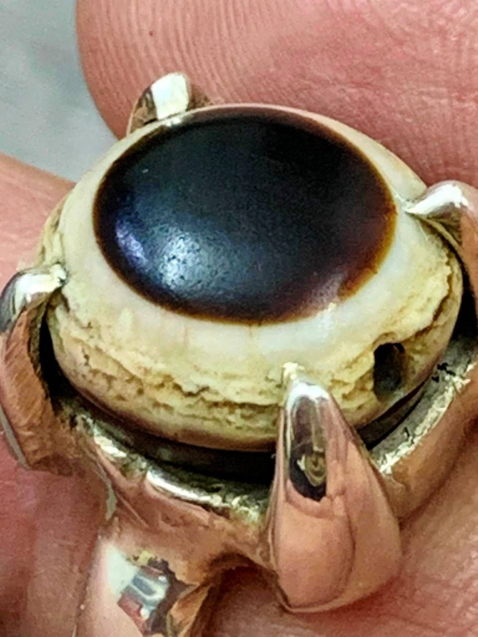 الجزع القديم
للمهتم التواصل خاص وبالخدمه 🌹


**إذا كنت صاحب هذا الإعلان وتريد حذفه لأي سبب، رجاءا أرسل رسالة إلى الدعم الفني**