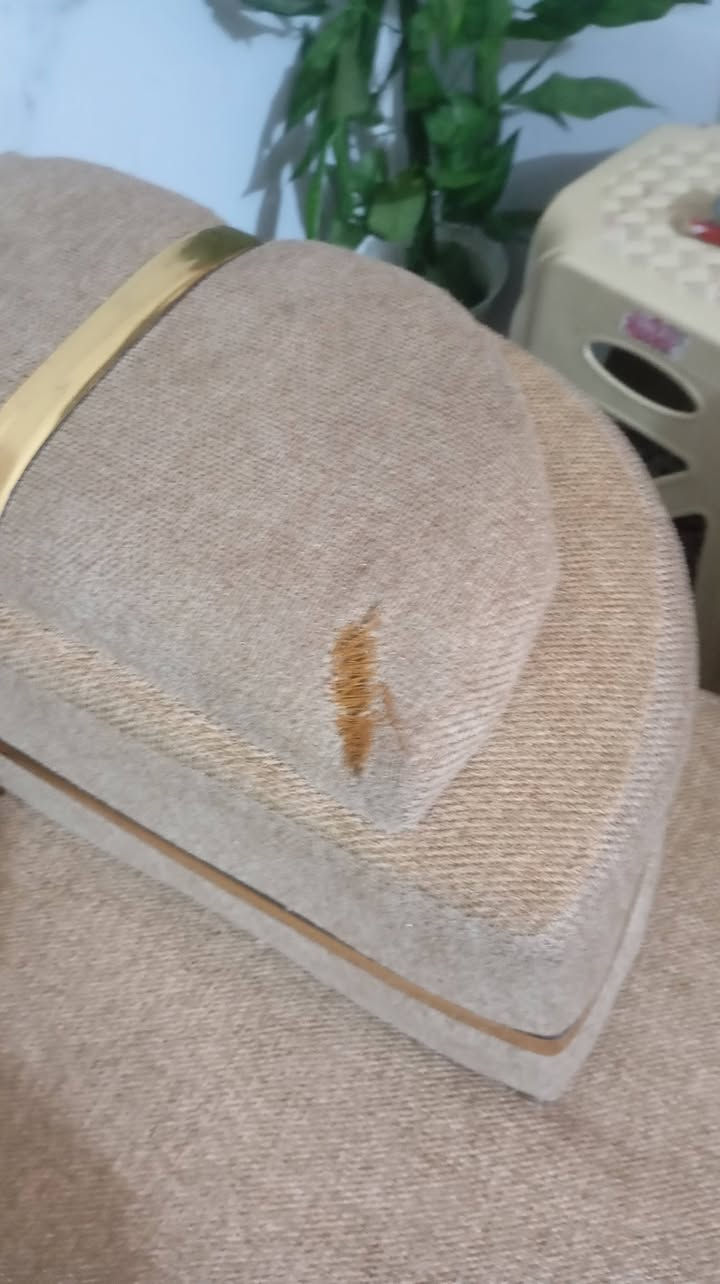 سلام عليكم 
عدد (4قنفات )تخم   تسكام صارله 5اشهر الضرر موجود بل صور 
مكاني :بابل النيل للاستفسار الاتصال على الرقم *********** السعر 475
