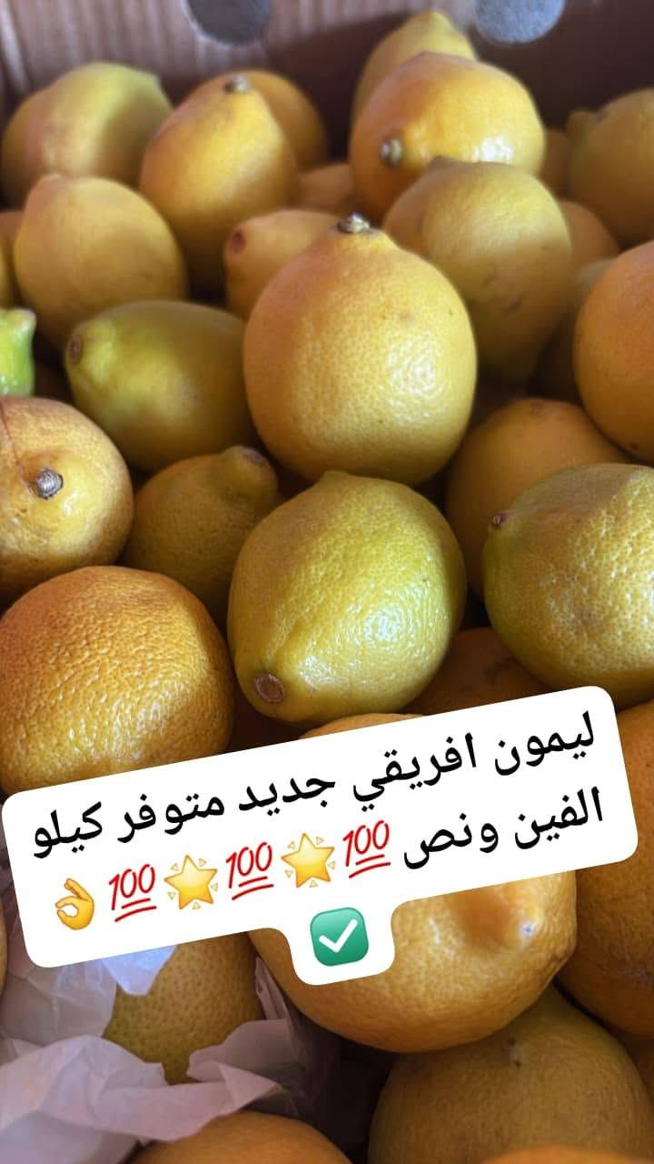 ☎️🌼🍋🍍🍇🥭🍈🥕🍓🍌🍏🍑🍎🌶🍎🥭🍍🍒
#كلةة_امتتيييازز_فواكه_وخضروات_ابو_مصطفى💛
#توصيل_مفتوح_يومياً_ومسواك_جديد_يوميا
#whatsap_comunication..***********..✅️☎️☎️
 #احفظ_الرقم_سيظهر_لك_استوريات_الفواكه_عالواتساب ✅️
#فواكه_وخضروات_ابومصطفى_في #خانقين_امام_عباس
#مجاور_مختبر_سامان_واسواق_خيزان_وصيدلية_ابوحسن_قصابة_جلولاء_ومكتبةعارف
‏
‏🔹 «اختار المعروض بالصور والأسعار الظاهرة امامك وأرسل الطلب عالواتساب أو المسنجر»  على الرقم الاسفل👇

‏
‏                 الواتساب  ***********.☎️
‏                 التليكرام ***********☎️
                 الفايبر ***********☎️
                ماسنجر / فواكه وخضروات ابو مصطفى ✅️
#متابعين_فواكه_وخضروات_ابومصطفى

‏
