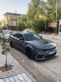 ٢٠١٧ • رقم اربيل • ماشية ٧٤