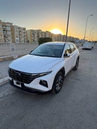 موديل ٢٠٢٤ • باسمي • فول خليجي