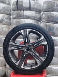 تخم ويل كب حجم 18 اصلي بيع او مراوس المكان بغداد.. 07775550209