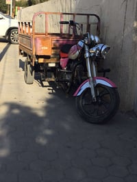 ستوته • جناي • موديل ١٩