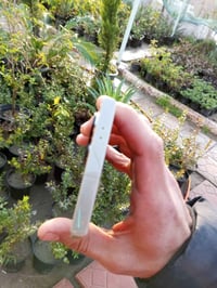 جالاكسي S24 ألترا • 256 • شاشة وكالة