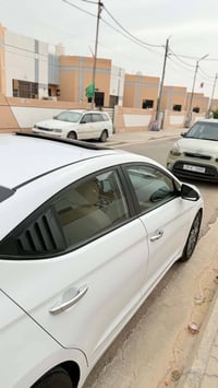 النترا • 2019 • مكفولة