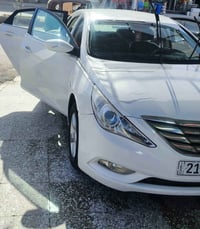 سوناتا ٢٠١٣ • دخول جديد • كشنات جلد