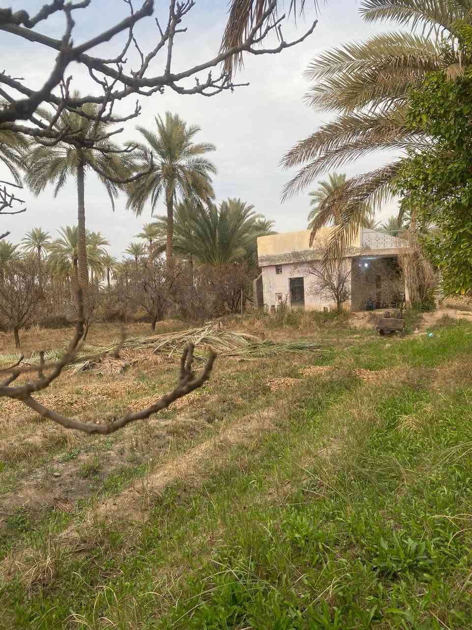 نص دونم لبيع على طريق شريفه تبعد كيلو كافه خدمات بيه سعر ٢٥ طابو زراعي سند ٢٥


**إذا كنت صاحب هذا الإعلان وتريد حذفه لأي سبب، رجاءا أرسل رسالة إلى الدعم الفني**